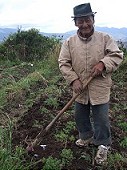 Farmer works on a field on a slope of volcano Imbabura